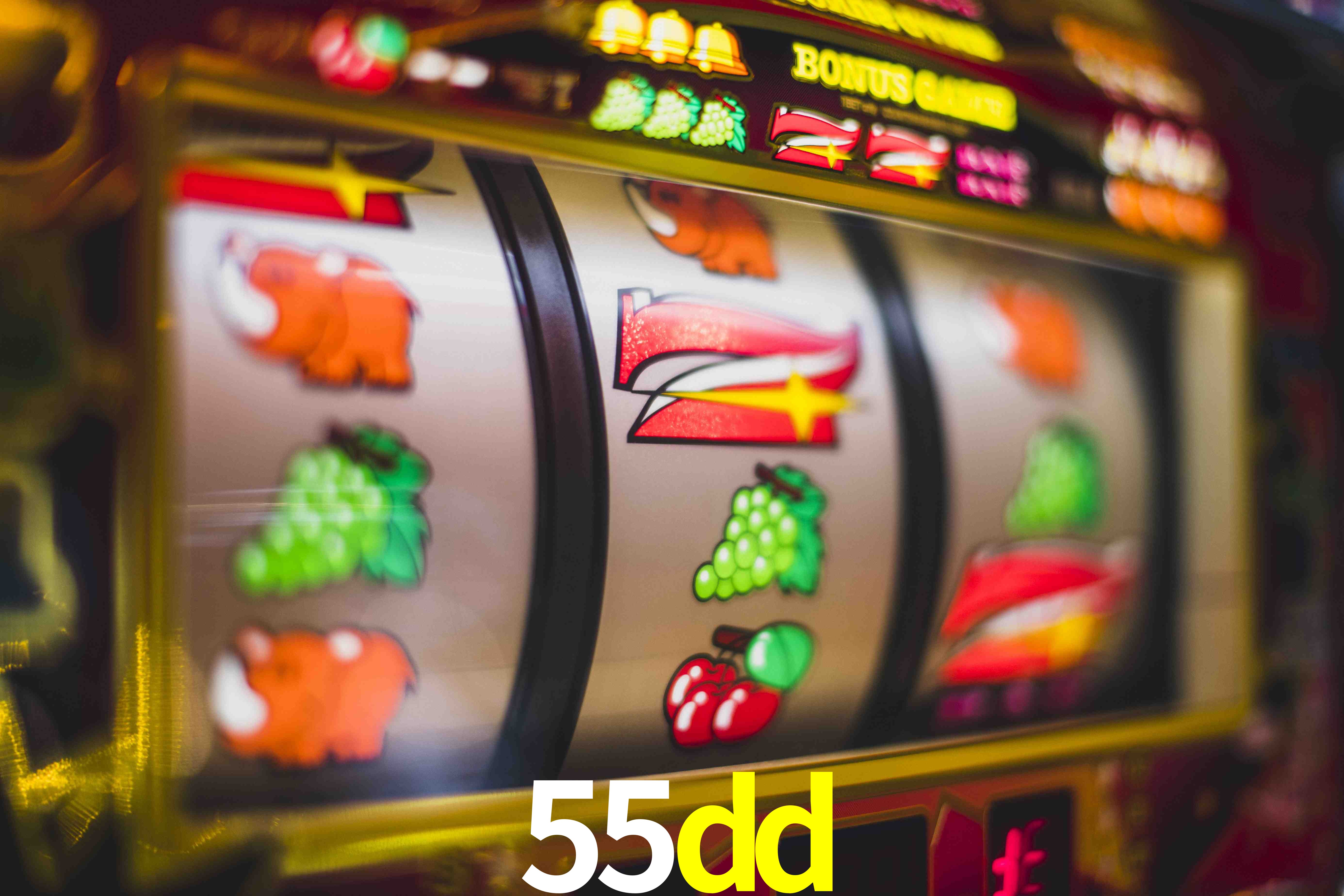 VIP Casino 55dd